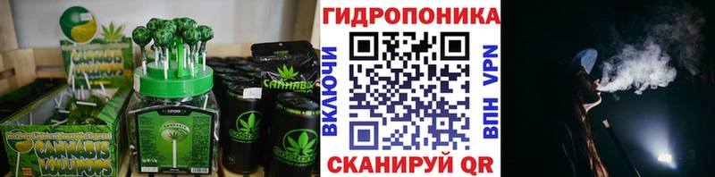 Купить закладки  Кадников  Canna-Cookies марихуана 