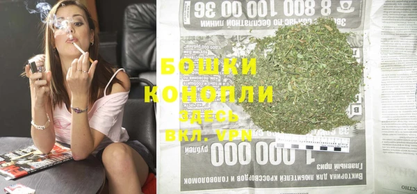 apvp Вяземский