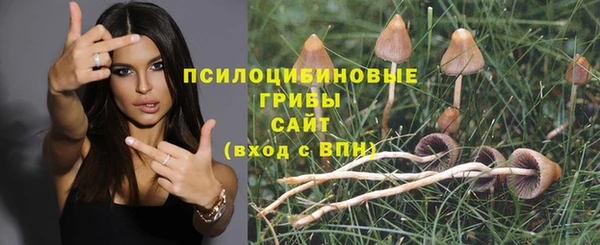apvp Вяземский