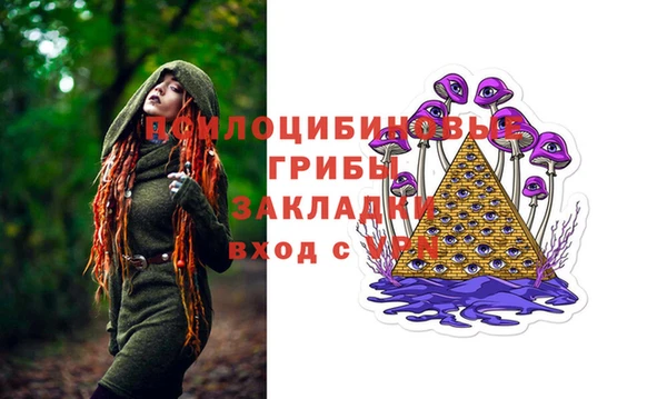 apvp Вяземский