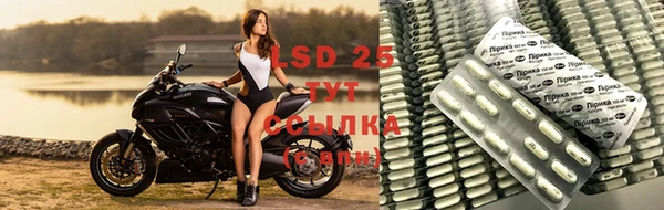 Альфа ПВП Вязьма