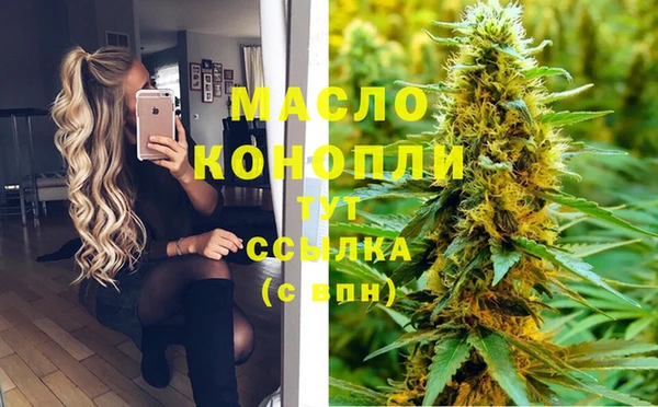 apvp Вяземский